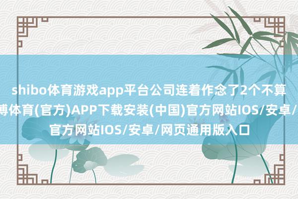 shibo体育游戏app平台公司连着作念了2个不算顺利的居品-世博体育(官方)APP下载安装(中国)官方网站IOS/安卓/网页通用版入口