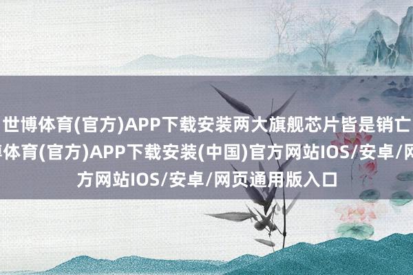 世博体育(官方)APP下载安装两大旗舰芯片皆是销亡个级别的-世博体育(官方)APP下载安装(中国)官方网站IOS/安卓/网页通用版入口