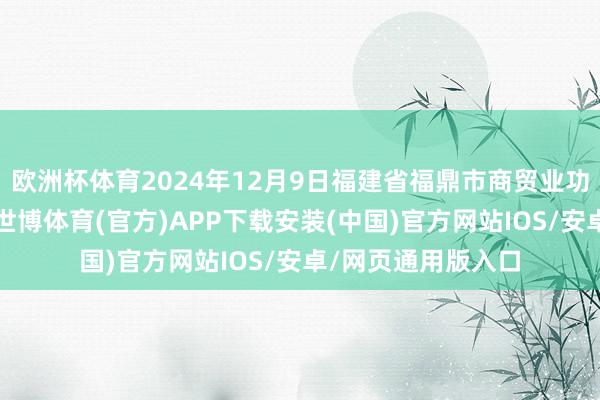 欧洲杯体育2024年12月9日福建省福鼎市商贸业功绩中心价钱行情-世博体育(官方)APP下载安装(中国)官方网站IOS/安卓/网页通用版入口