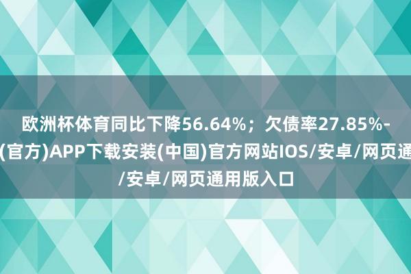 欧洲杯体育同比下降56.64%；欠债率27.85%-世博体育(官方)APP下载安装(中国)官方网站IOS/安卓/网页通用版入口